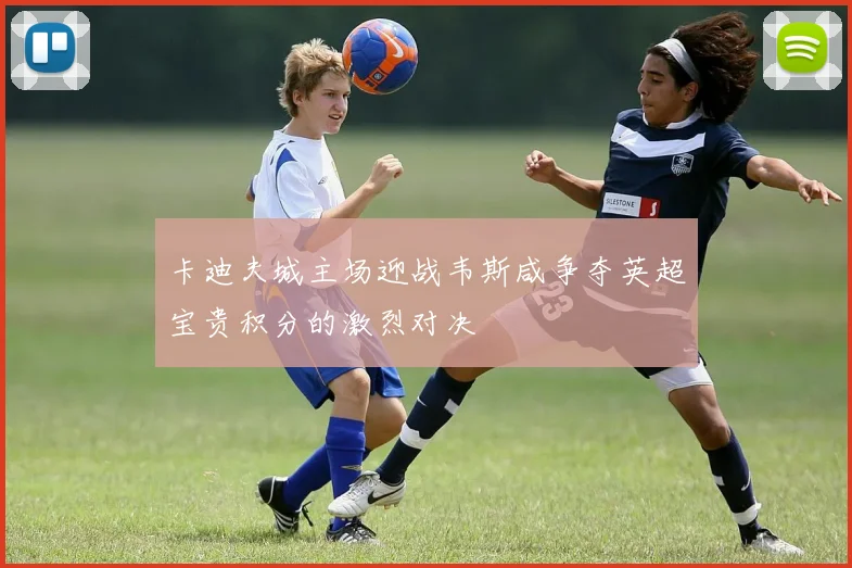 卡迪夫城主场迎战韦斯咸争夺英超宝贵积分的激烈对决