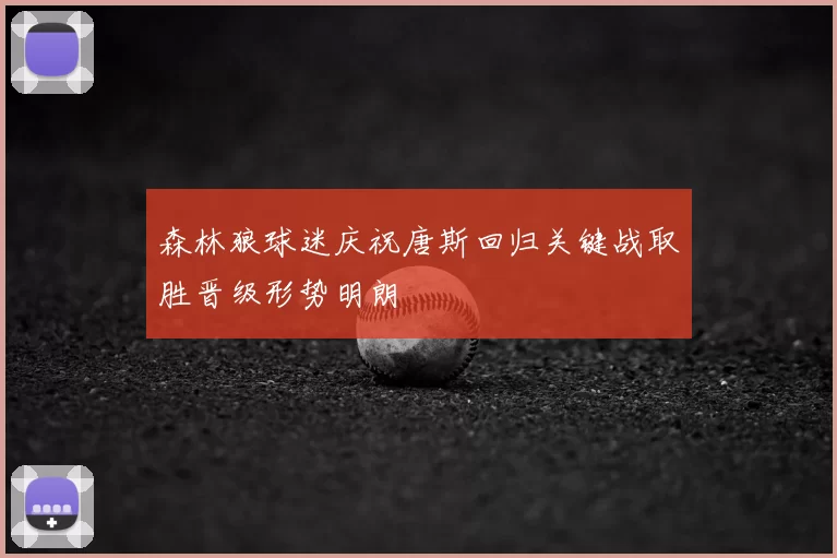 森林狼球迷庆祝唐斯回归关键战取胜晋级形势明朗