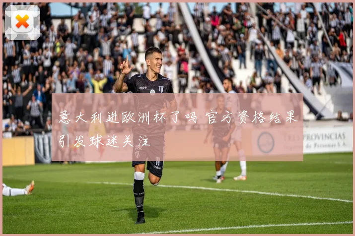 意大利进欧洲杯了吗 官方资格结果引发球迷关注