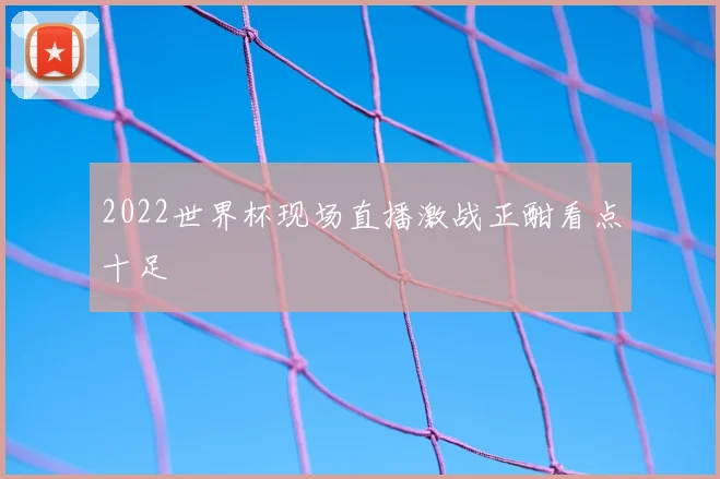2022世界杯现场直播激战正酣看点十足