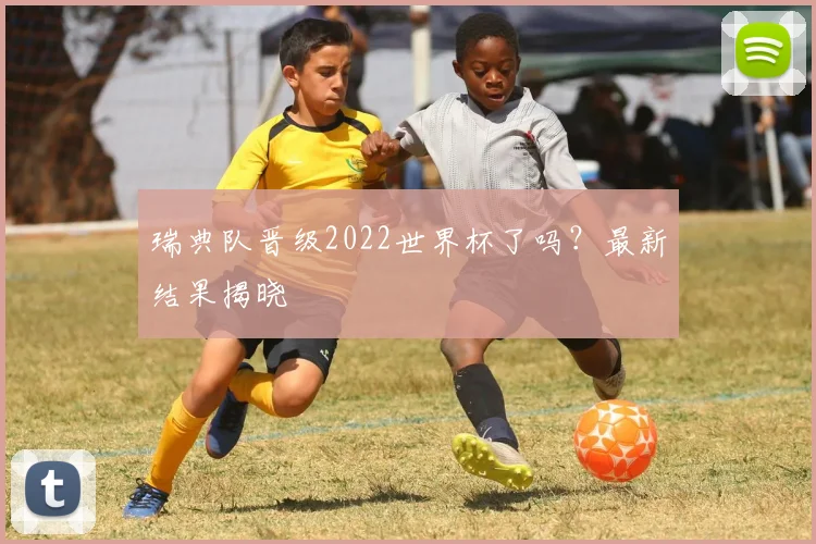 瑞典队晋级2022世界杯了吗?最新结果揭晓