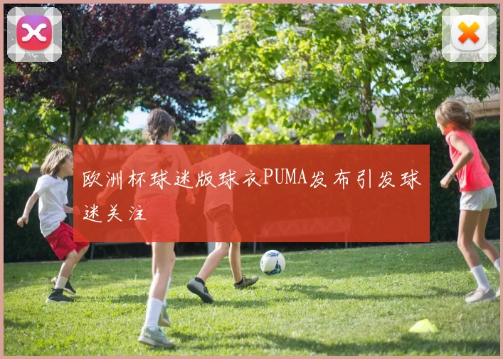 欧洲杯球迷版球衣PUMA发布引发球迷关注