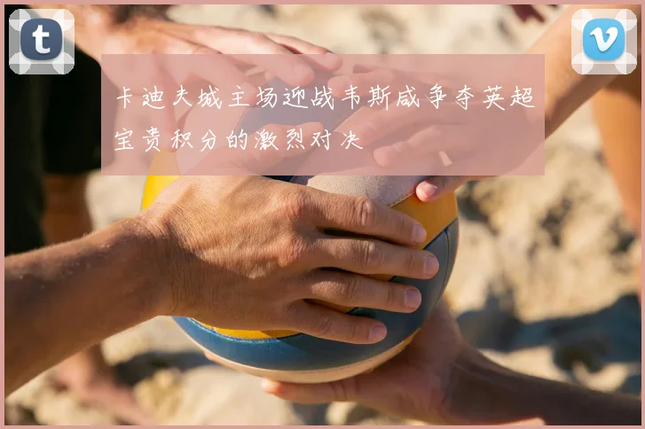 卡迪夫城主场迎战韦斯咸争夺英超宝贵积分的激烈对决