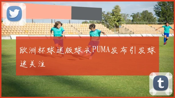 欧洲杯球迷版球衣PUMA发布引发球迷关注