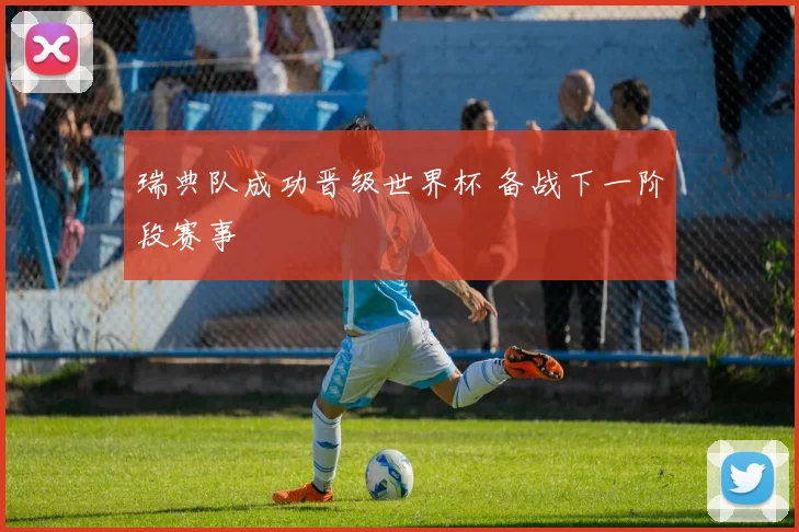瑞典队成功晋级世界杯 备战下一阶段赛事