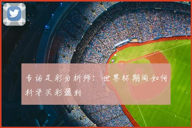 专访足彩分析师:世界杯期间如何科学买彩盈利