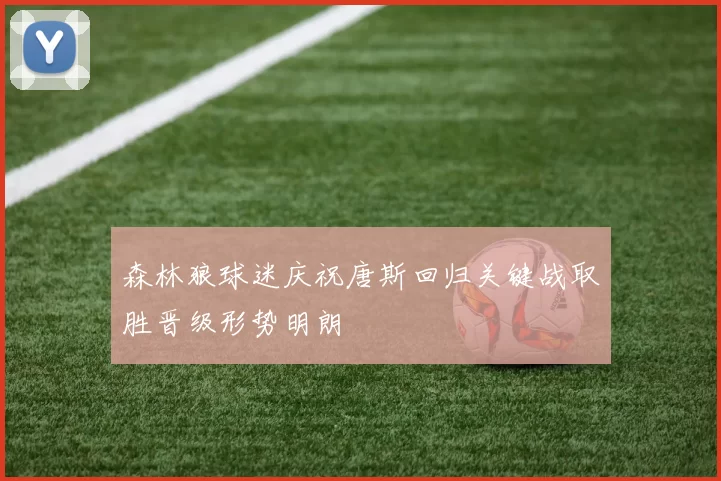 森林狼球迷庆祝唐斯回归关键战取胜晋级形势明朗