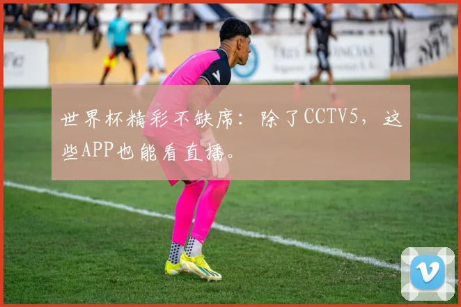 世界杯精彩不缺席:除了CCTV5,这些APP也能看直播。