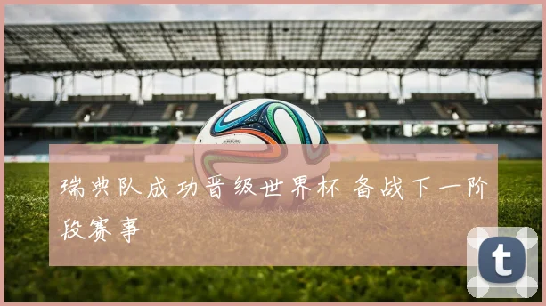 瑞典队成功晋级世界杯 备战下一阶段赛事