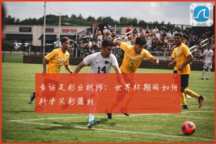 专访足彩分析师:世界杯期间如何科学买彩盈利