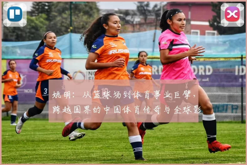 姚明：从篮球场到体育事业巨擘，跨越国界的中国体育传奇与全球影响力