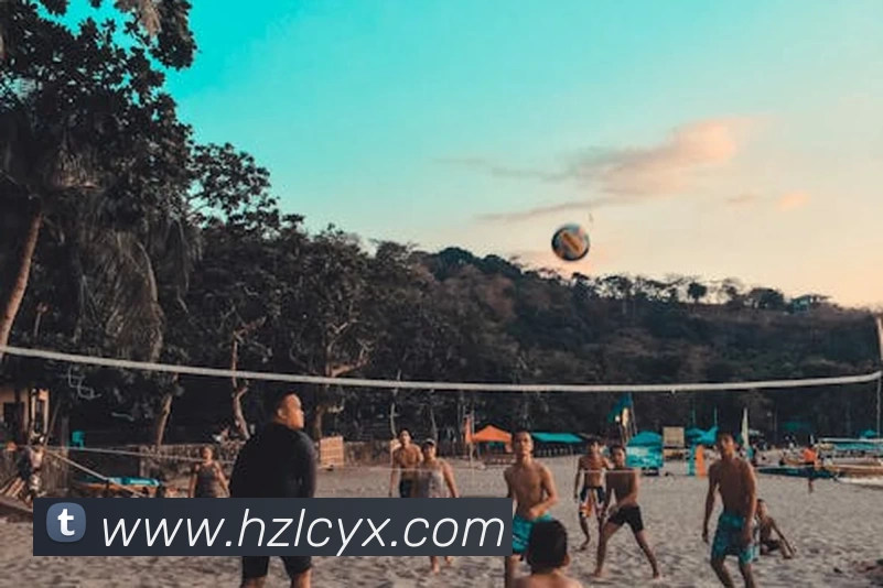 球盟会服务体系